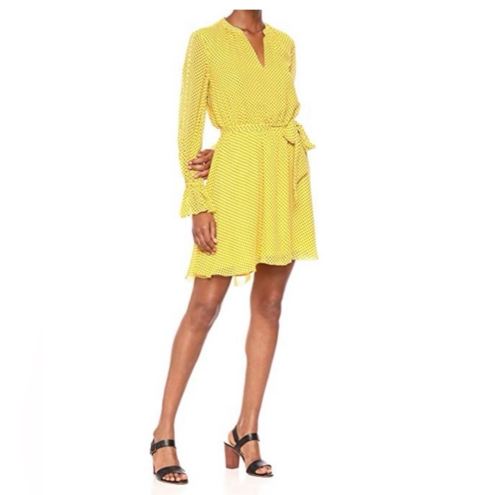 Joie Daevon polkadot dress